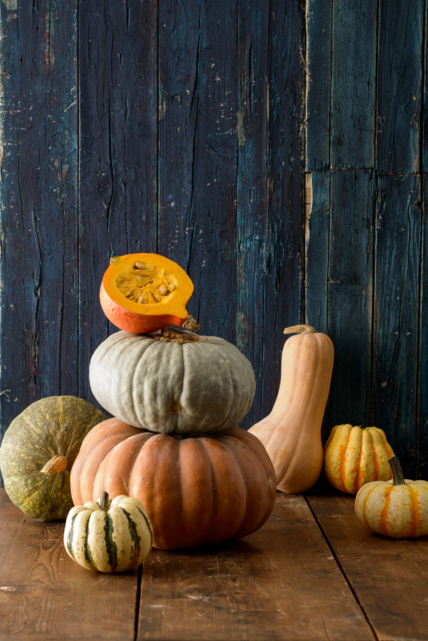 Zucca